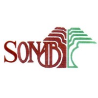 Secteur forestier au Bénin : la SONAB dissoute, un liquidateur nommé